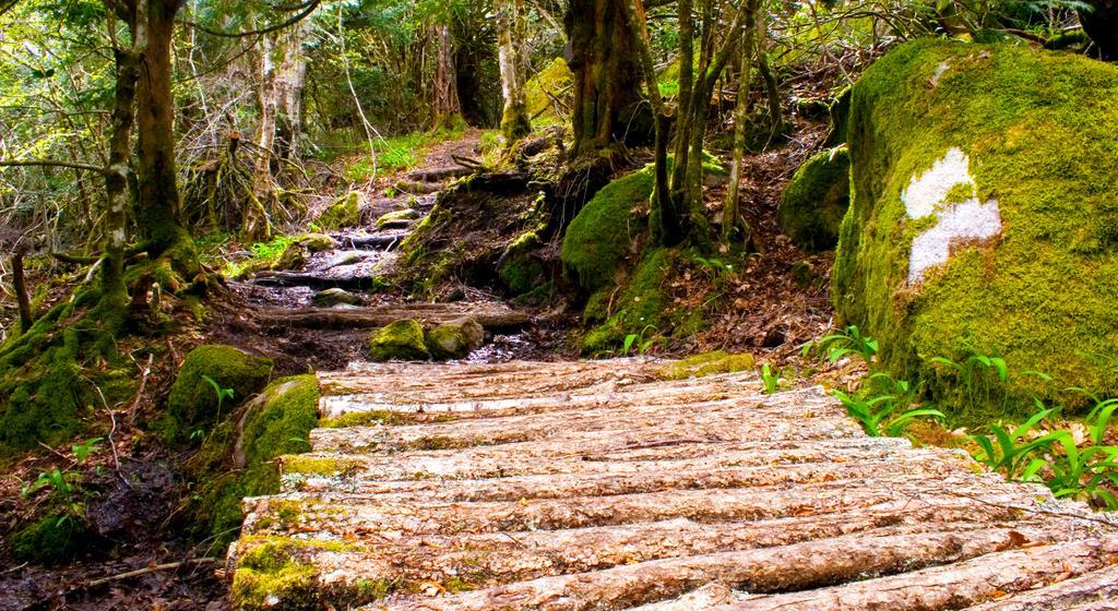 Hospederia El Pico Del Fraile Pension Cobreros Buitenkant foto